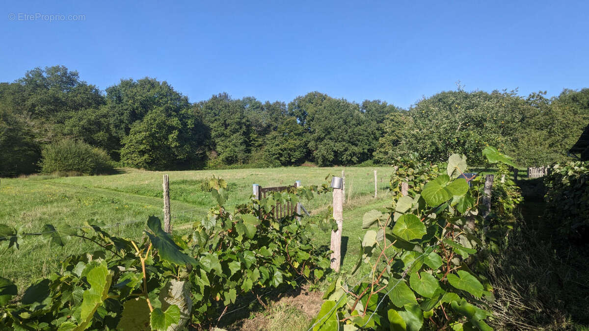 Maison à LA CHAPELLE-BATON