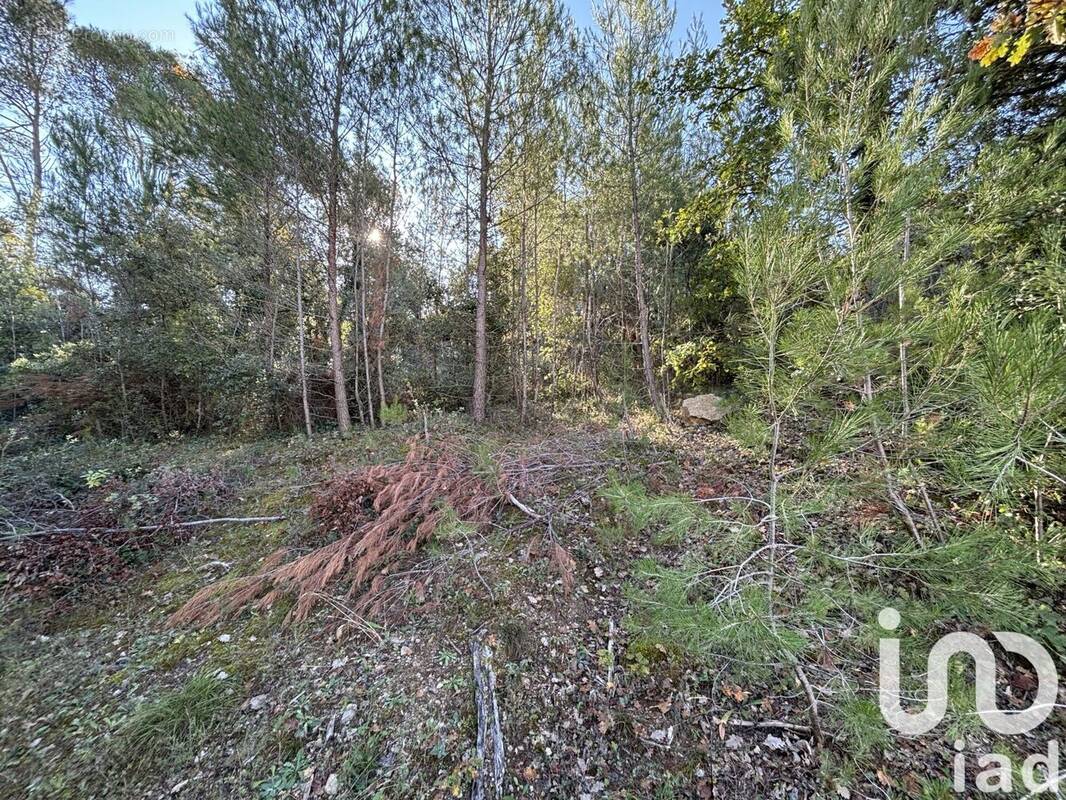 Photo 1 - Terrain à FLASSANS-SUR-ISSOLE