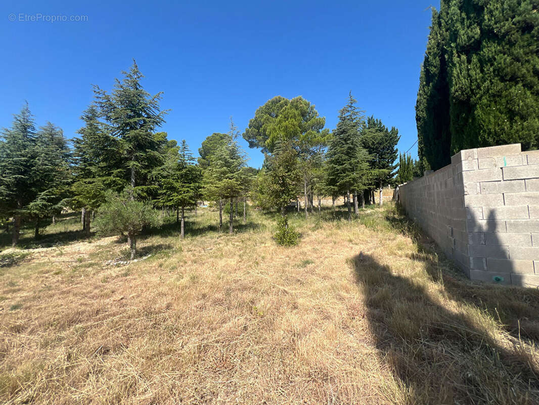 Terrain Narbonne 2847 m2 - photo 3