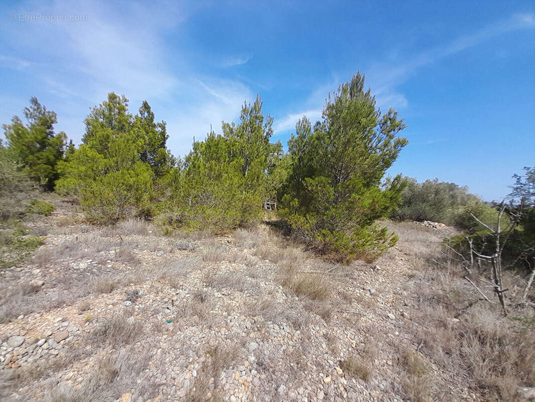 Terrain à LA PALME