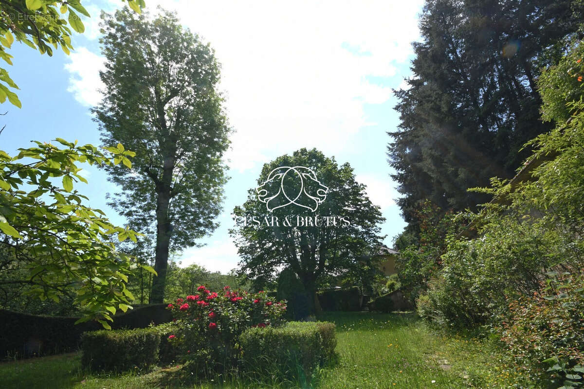 Autre à SAINT-PIERRE-LE-VIEUX