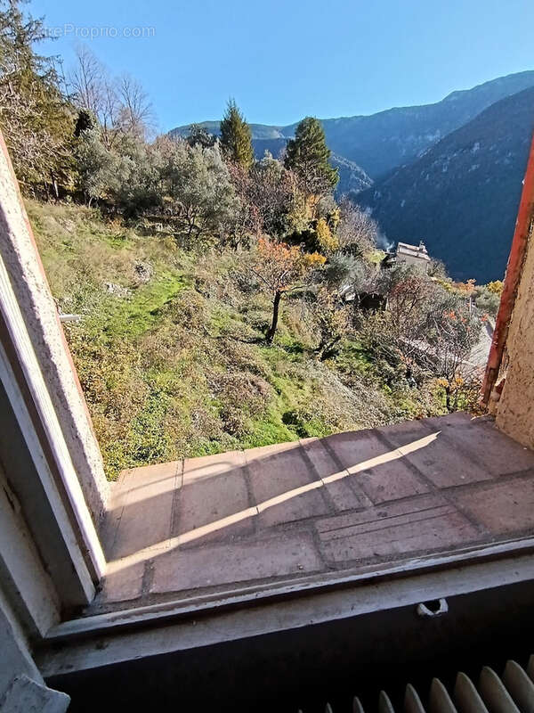 AIGLUN (06) Maison de villa et 13 hectares de terrain - photo 14