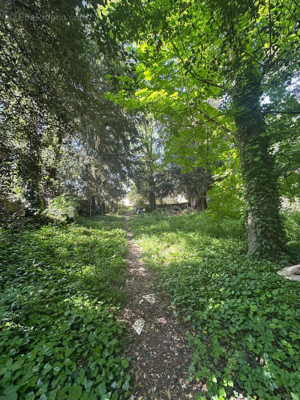jardin - Maison à AUCH