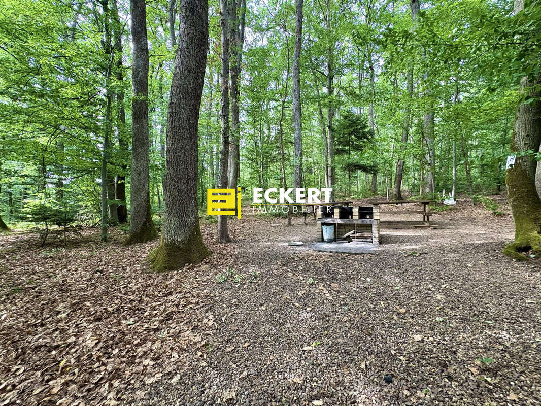 Appartement 29 m² à Boersch  - photo 8