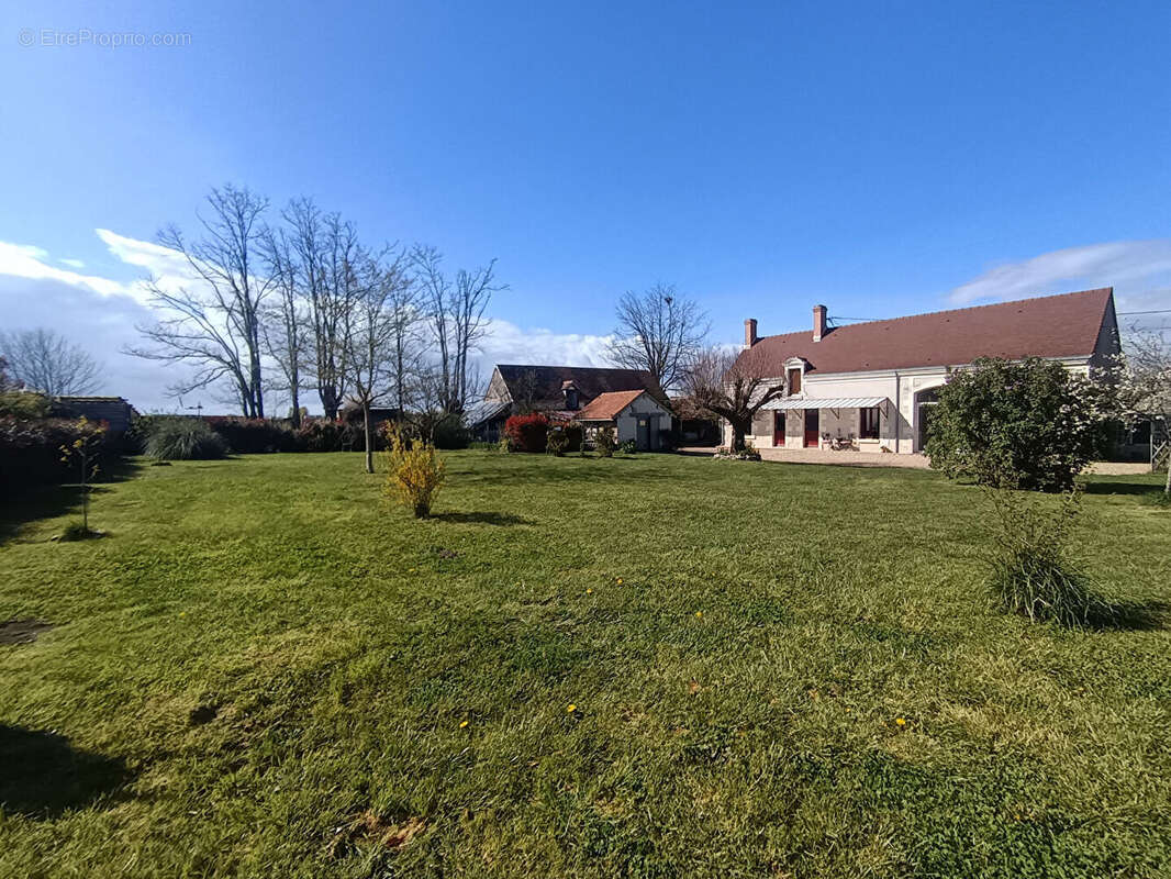 Maison à SELLES-SUR-CHER