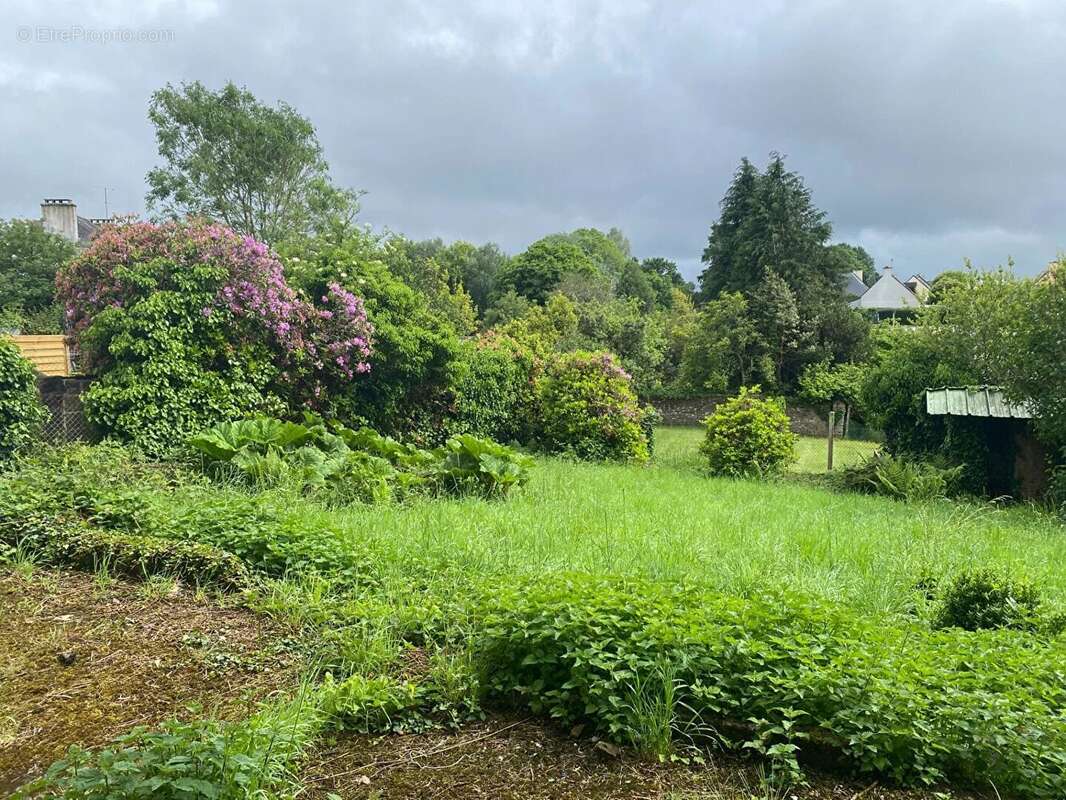 Appartement à ELLIANT