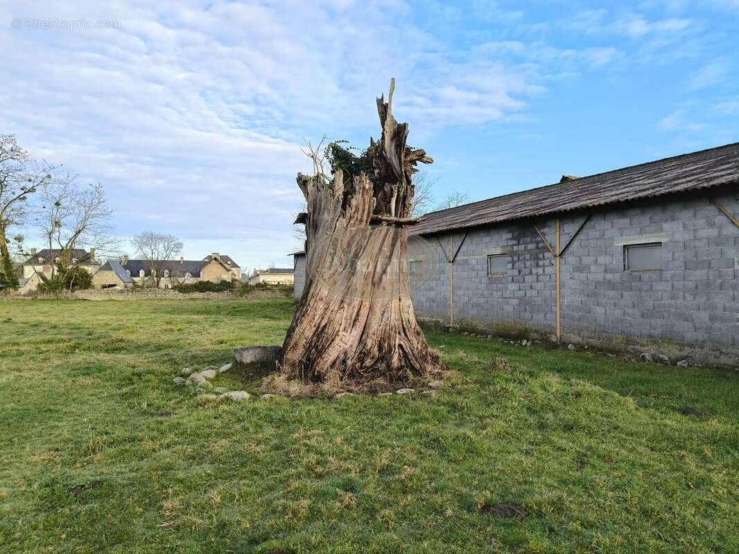 Propriété de caractère 1.7ha - photo 25