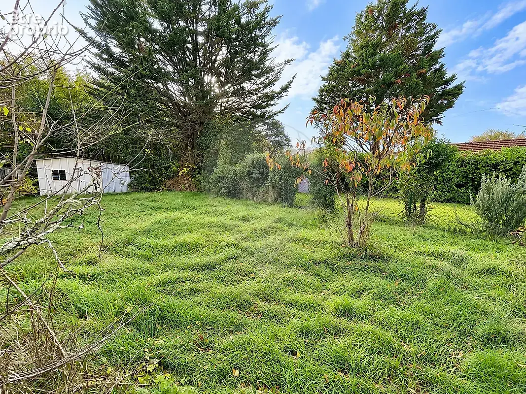 Terrain  à vendre - photo 3