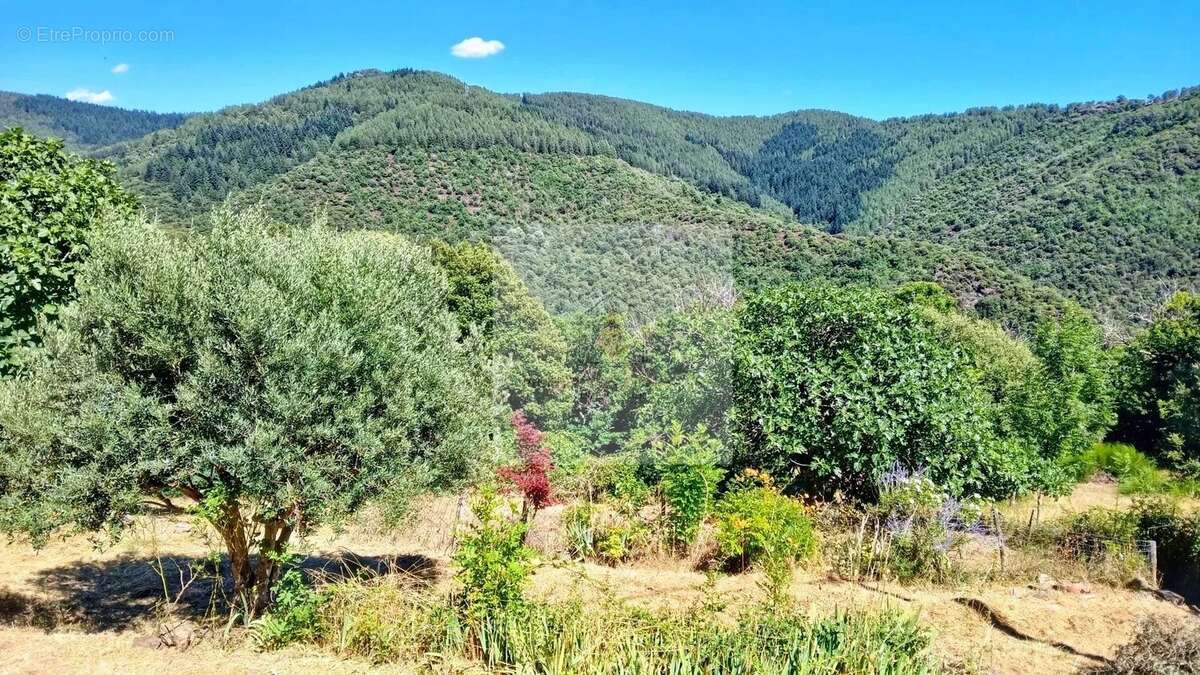 Maison à SAINT-ANDRE-DE-LANCIZE