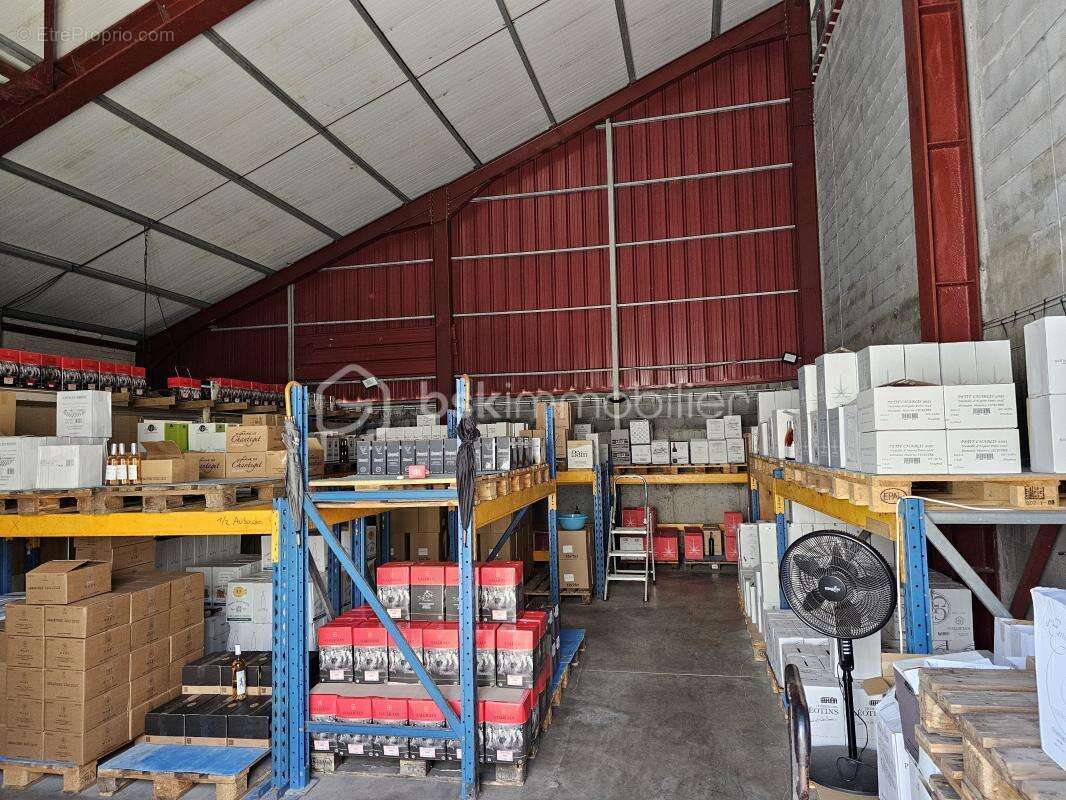 Commerce à SAINT-FRANCOIS