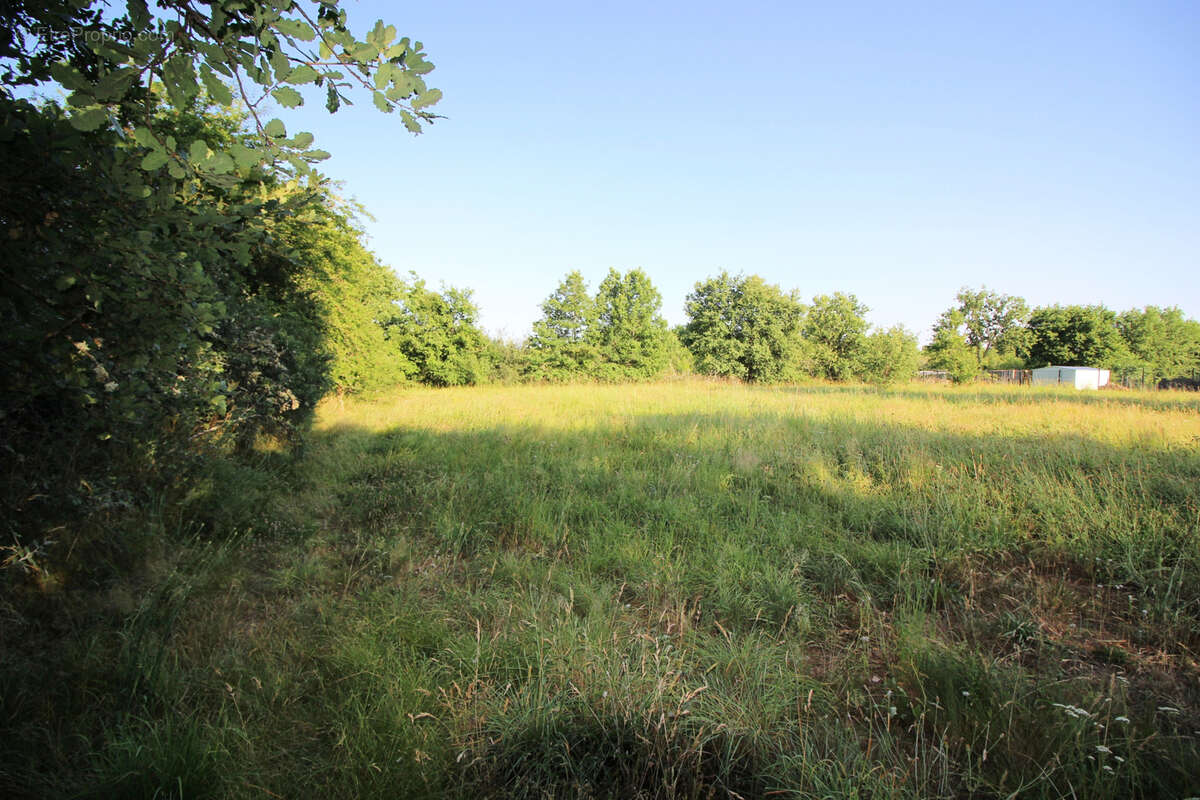 Terrain constructible de 1710m2 viabilisé - photo 3