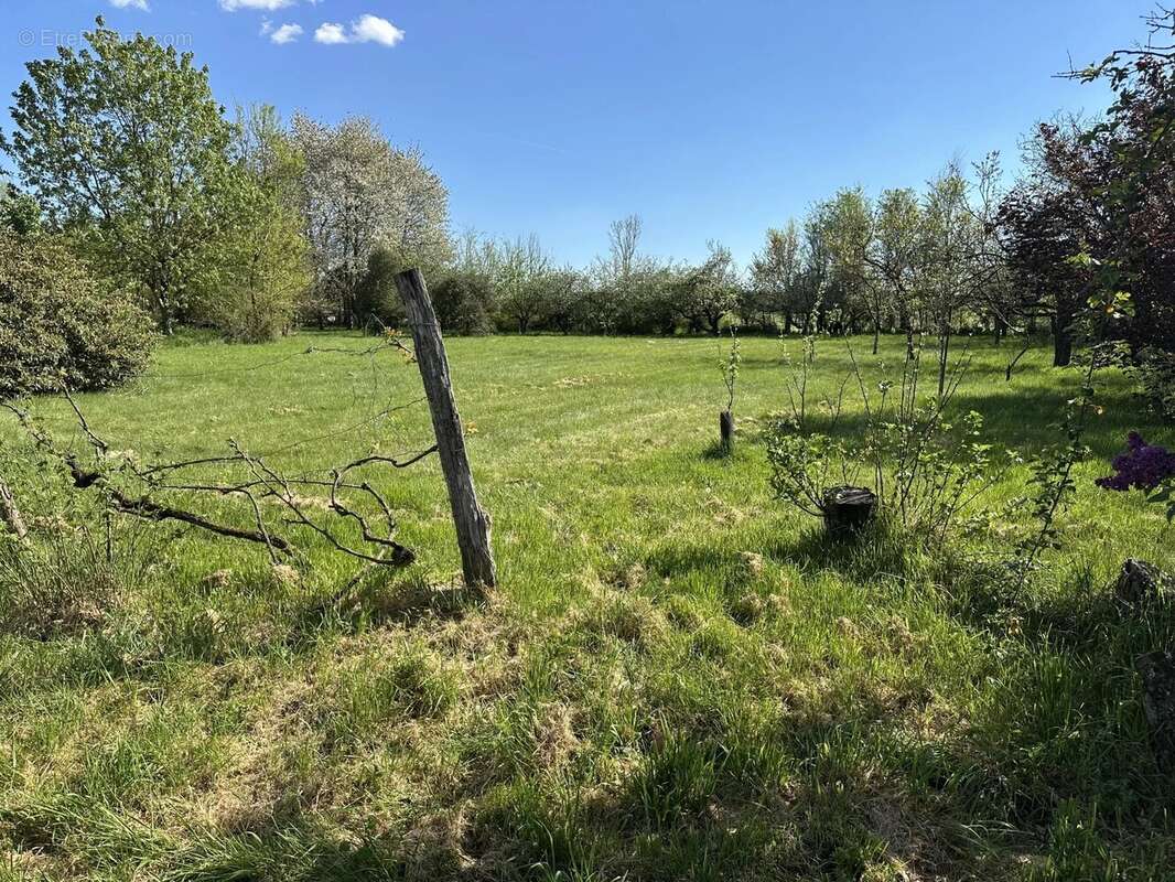 Terrain à SAINT-MAURICE-LA-CLOUERE