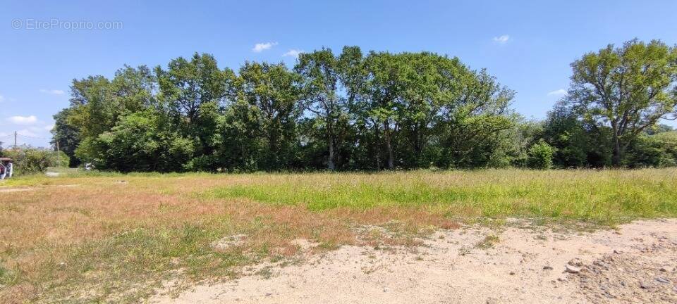 Terrain à BRISSAC-QUINCE