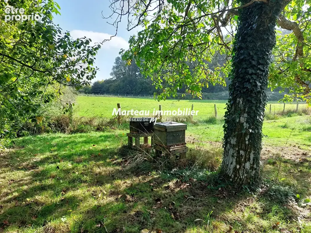 Marigné-laillé - propriété d'exception  - 250 m2 - photo 14