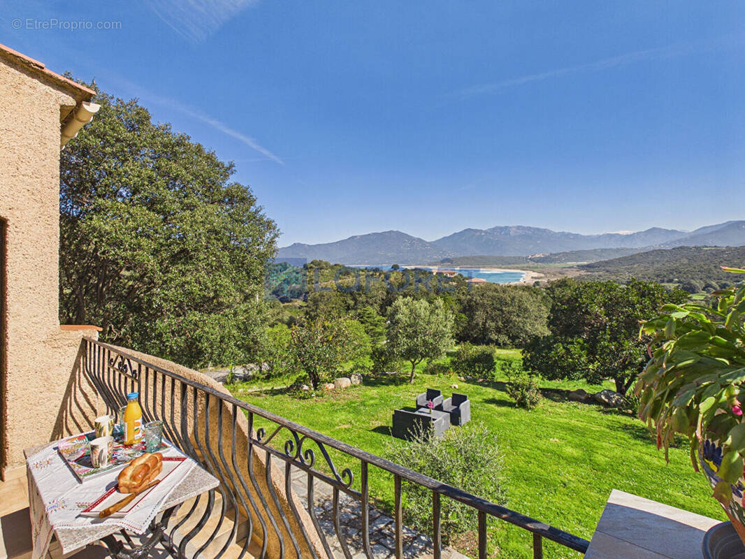 Maison à BELVEDERE-CAMPOMORO