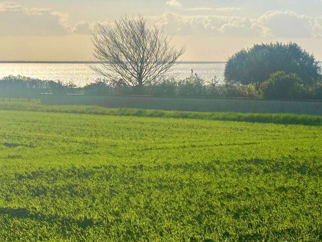 Maison à CHENAC-SAINT-SEURIN-D'UZET