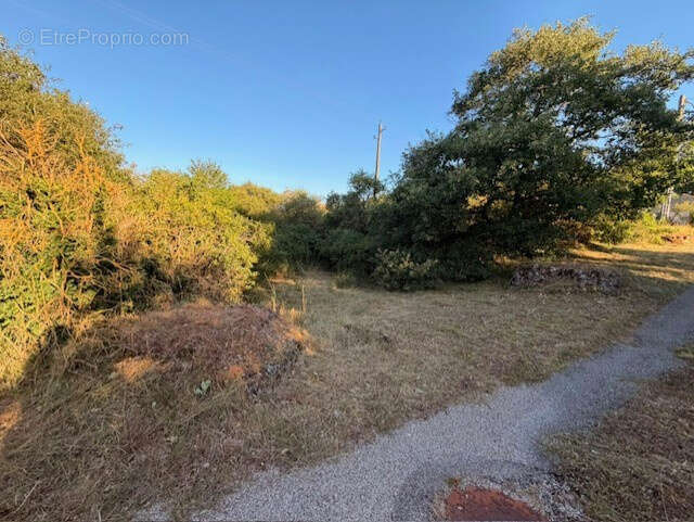 5 848 m2 constructibles-une grande maison- PLATEAU DU LARZAC : 1h de Montpellier - photo 22