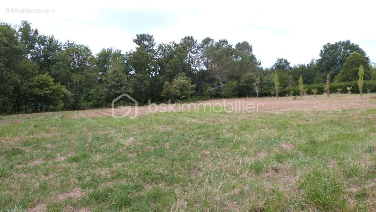 Terrain constructible de 4424 m2 avec CU - photo 3