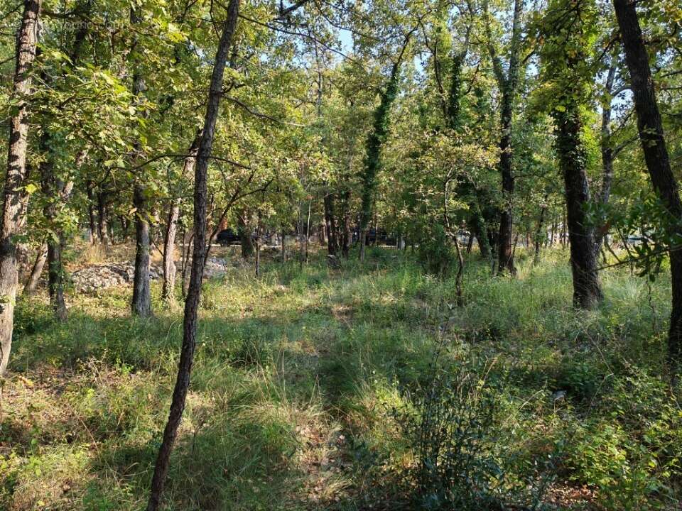 Terrain à TRANS-EN-PROVENCE