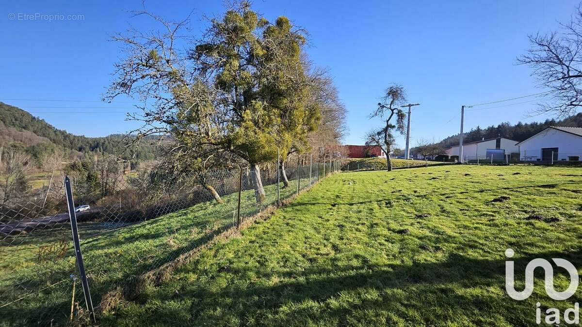 Photo 4 - Maison à DINOZE