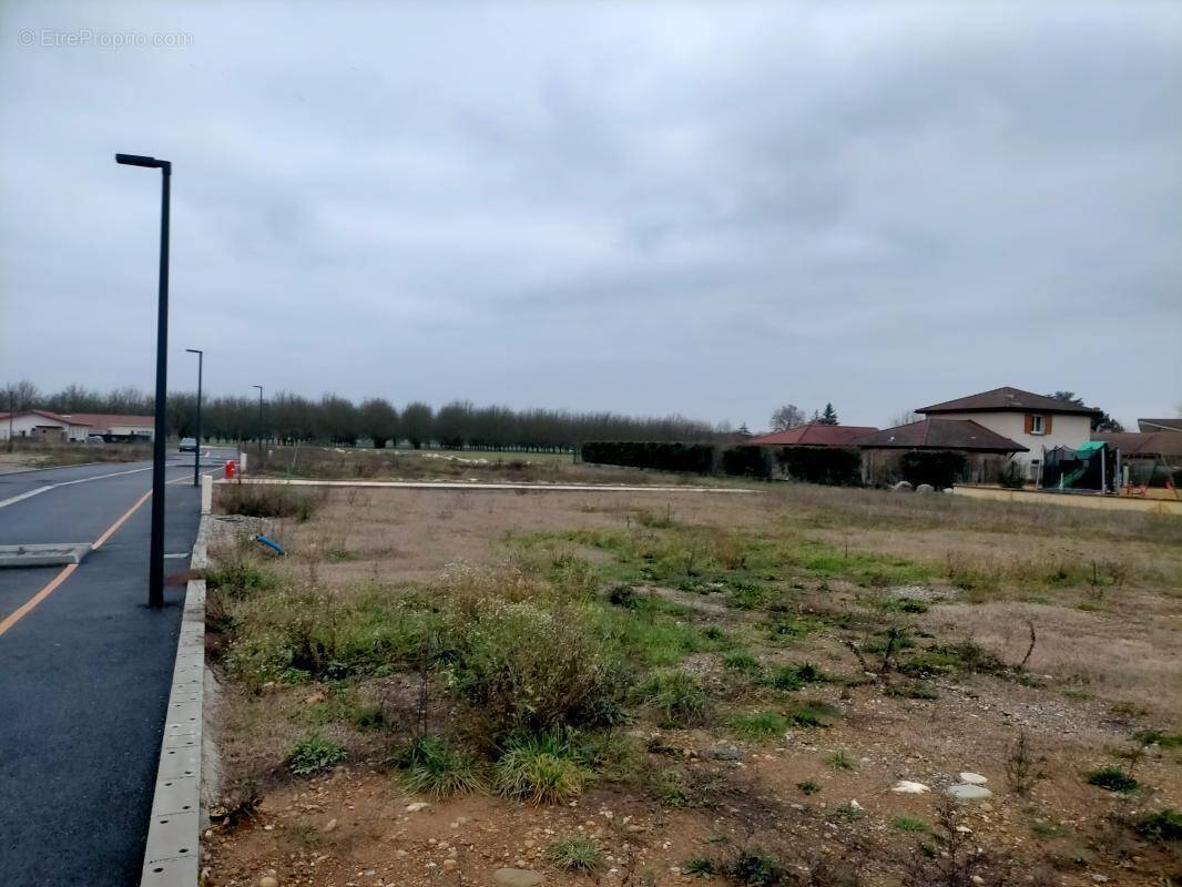 Terrain à SAINT-ROMANS