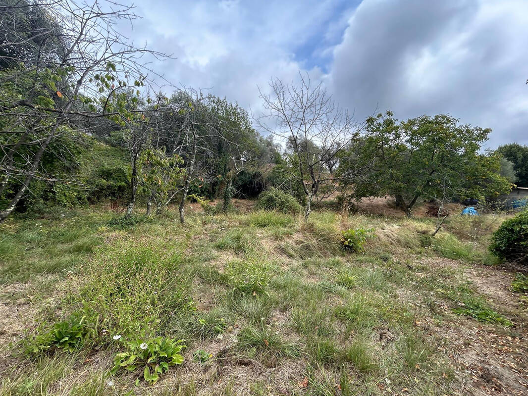Terrain à BERRE-LES-ALPES