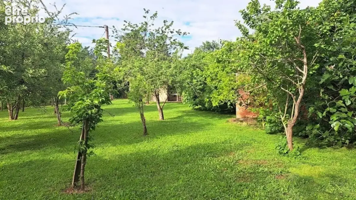 Maison viager LIBRE 7 pièces L'ISLE DE NOE (32) - photo 15