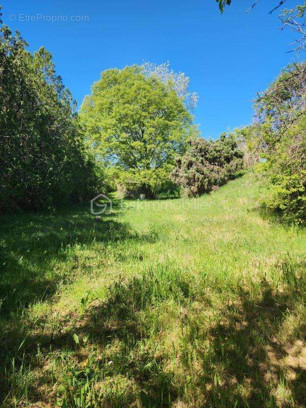 LAURIS – Terrain arboré de 940 m² - photo 3