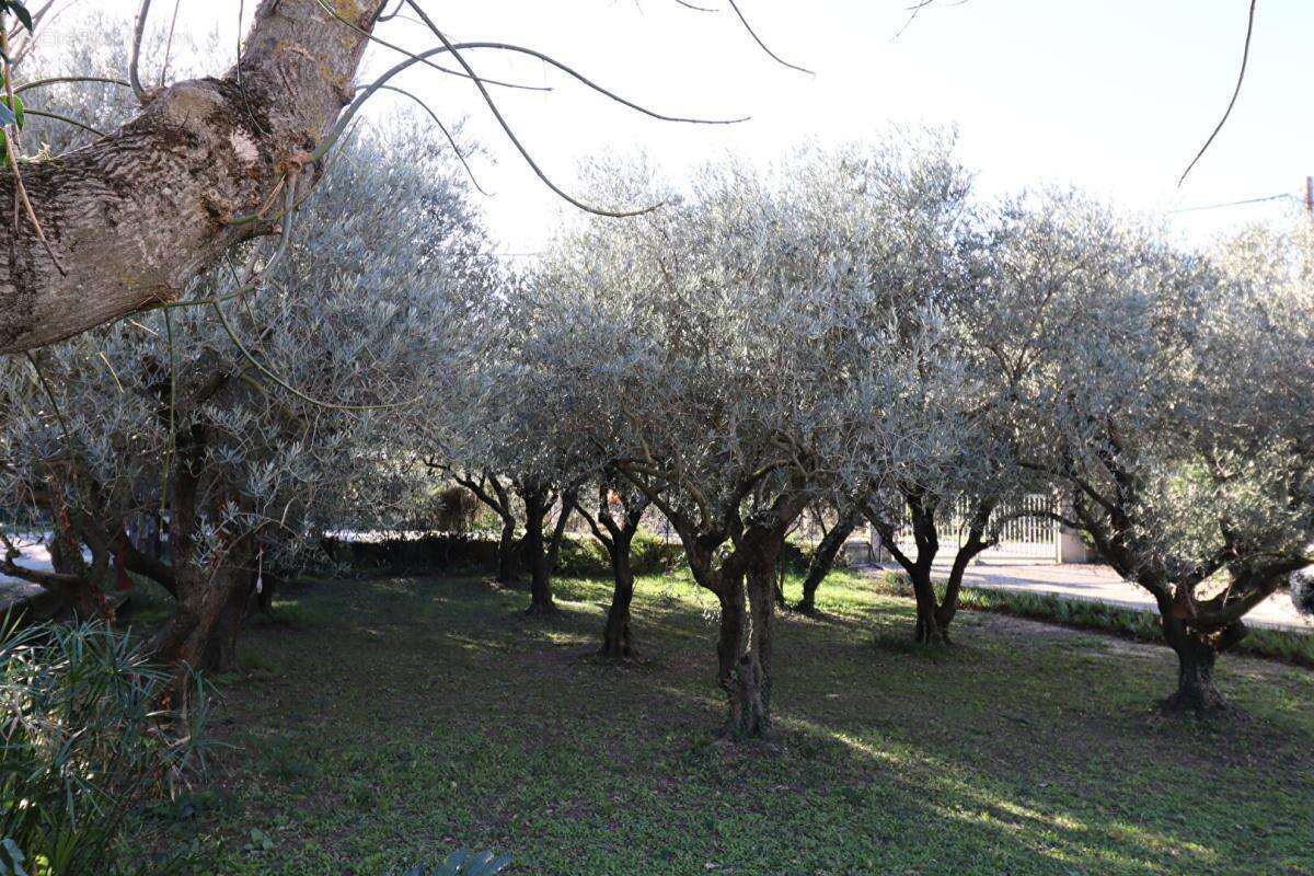 Maison à BEDARRIDES