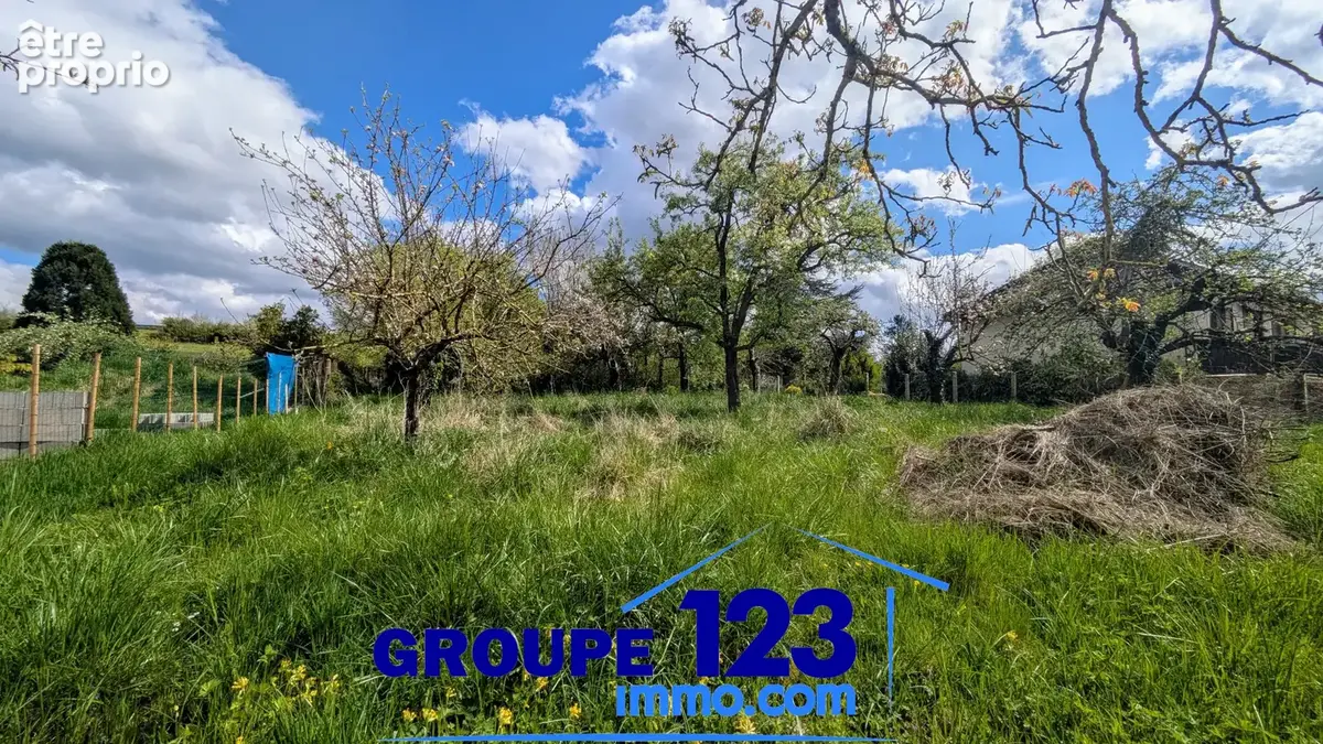 À vendre : terrain constructible à branches - photo 2