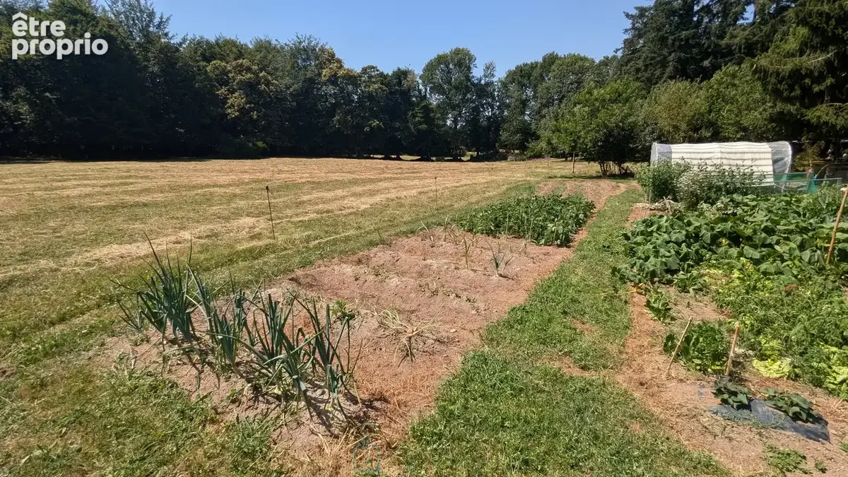 Maison de campagne avec jacuzzi, dépendance et presque de 2 hectares - photo 19
