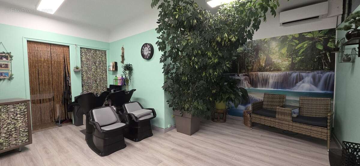 Commerce à TOURRETTE-LEVENS