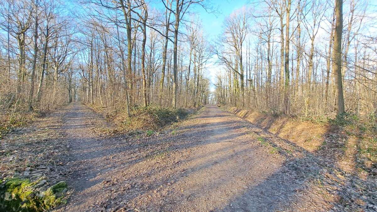 Maison à BOIS-D'ARCY