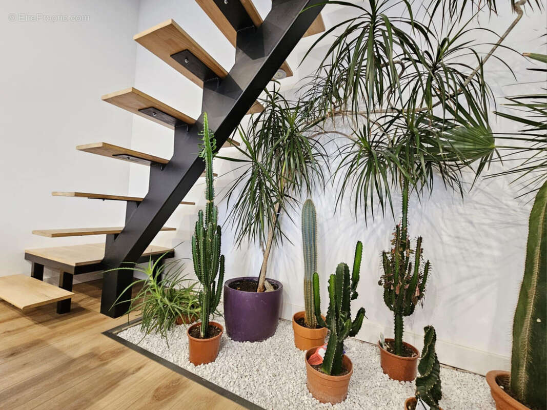 Maison à MAZINGARBE