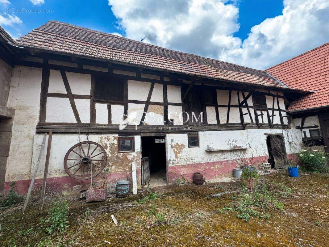 Maison à WICKERSHEIM-WILSHAUSEN