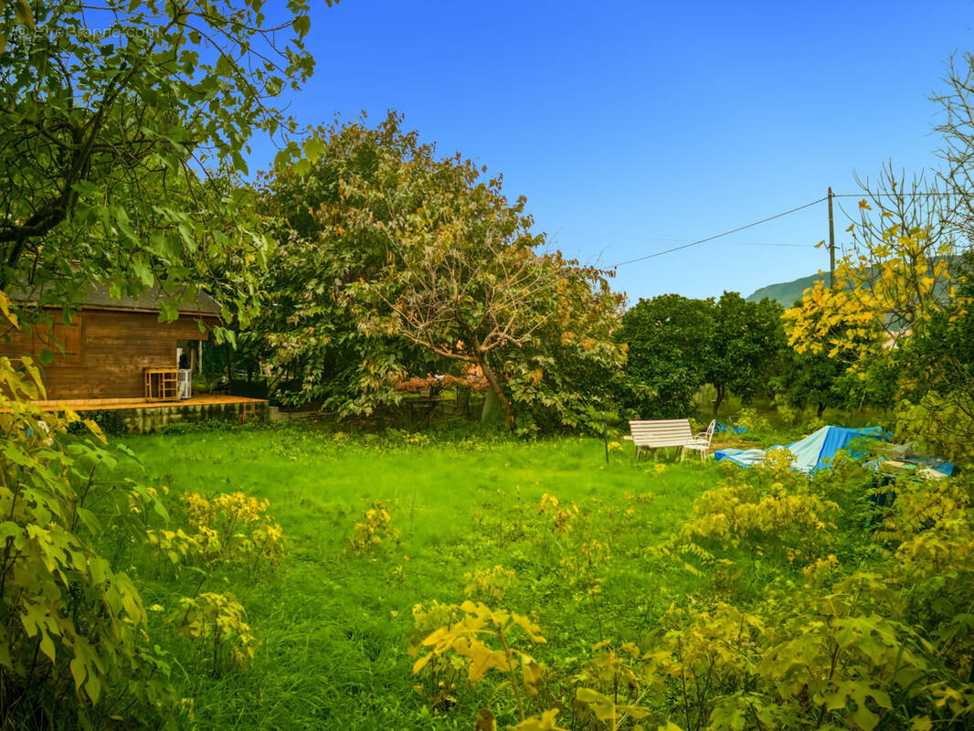 Terrain à CASTAGNIERS