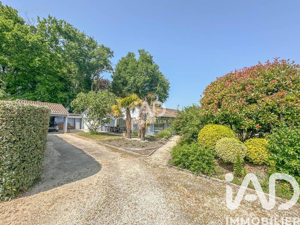 Photo 1 - Maison à CASTELNAU-DE-MEDOC
