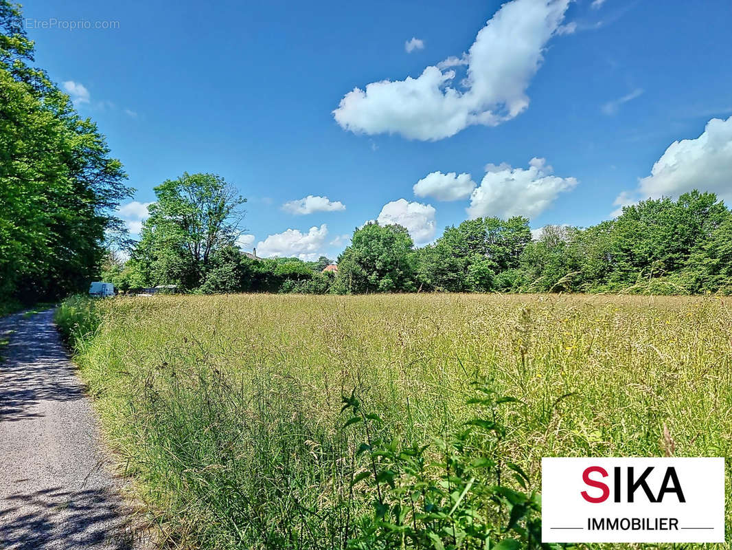 Terrain à PHALSBOURG