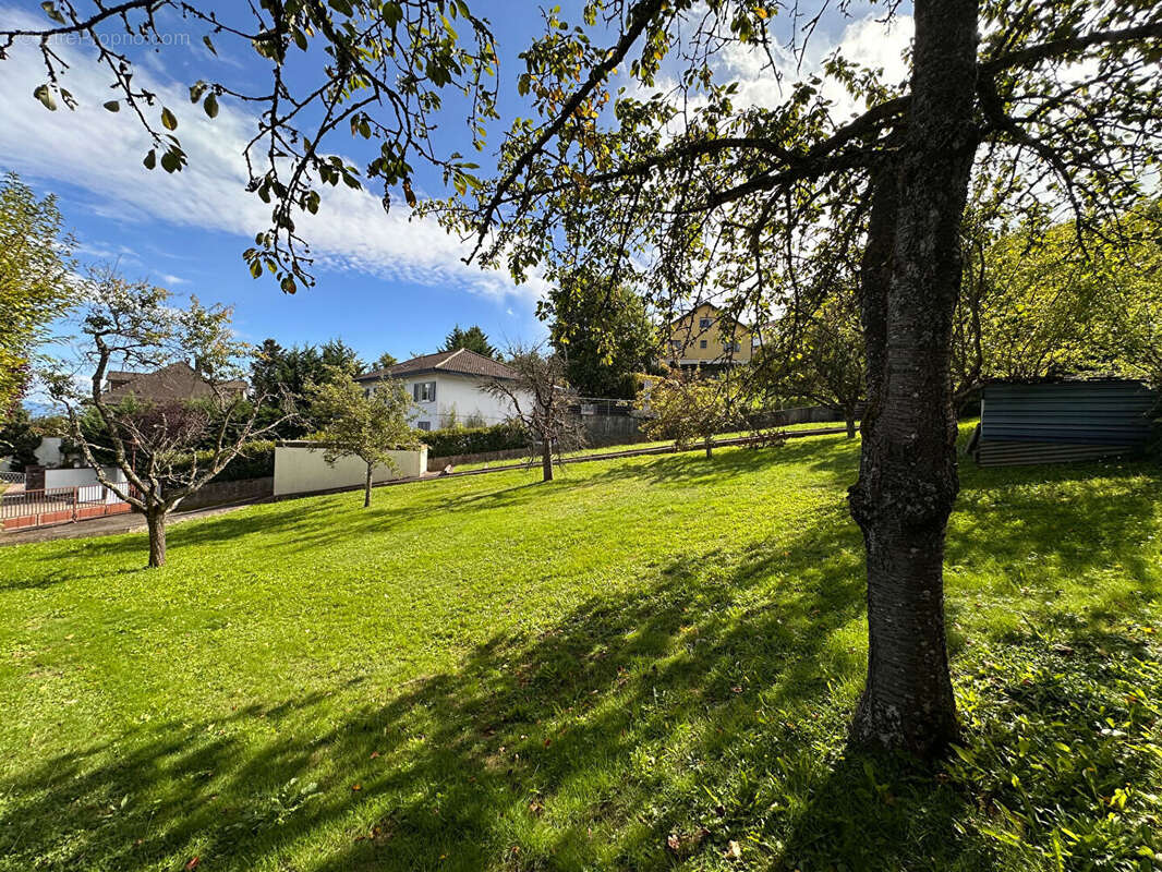 Terrain à GUEBWILLER