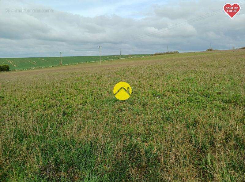 Terrain constructible 995 m2 - photo 5