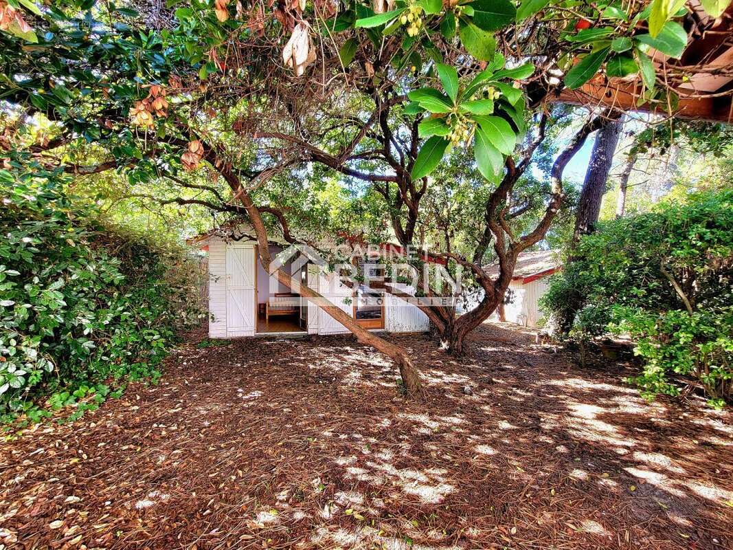 Maison à LEGE-CAP-FERRET