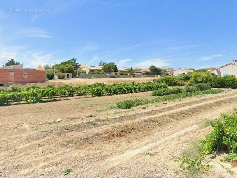 Terrain à PORTEL-DES-CORBIERES