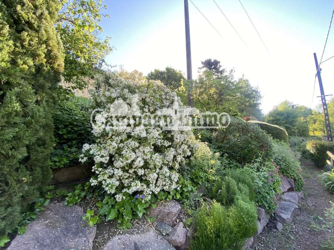 Maison à SAINT-CLEMENT-SUR-VALSONNE