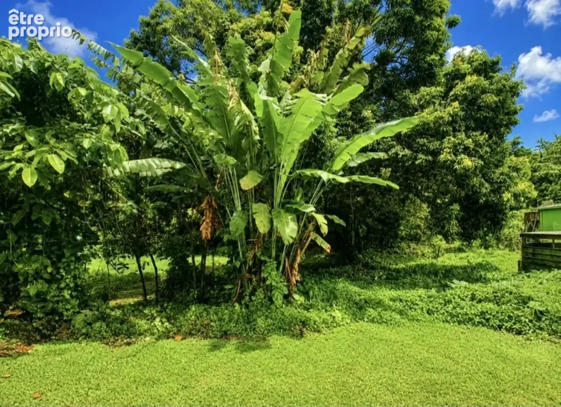 A vendre - Terrain plat de 729 m² – Ajoupa-Bouillon – Secteur Adinet - photo 2