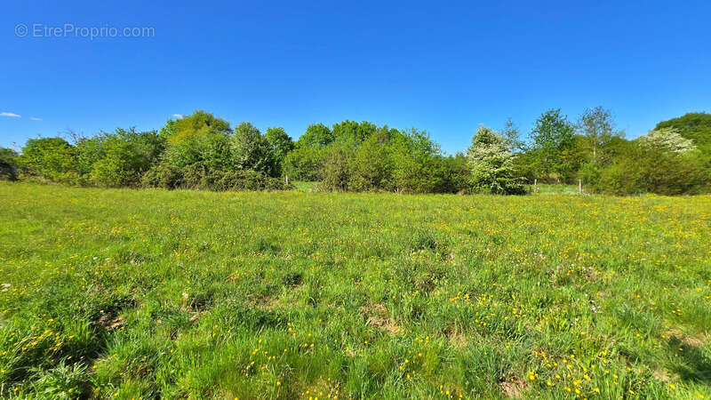 Terrain à ORADOUR-SUR-GLANE