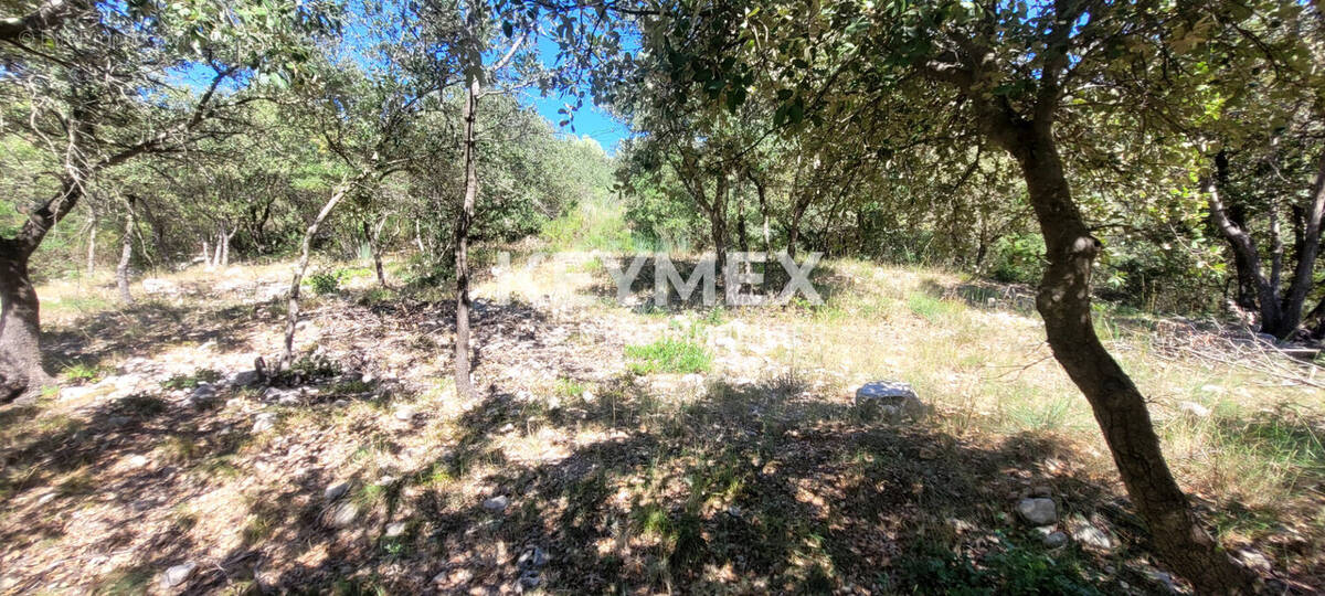 Terrain à SOLLIES-TOUCAS