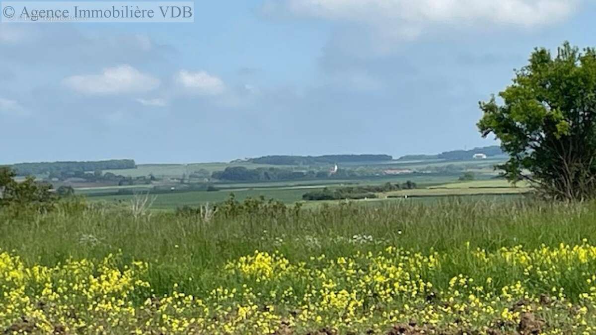 Terrain à HARAUCOURT