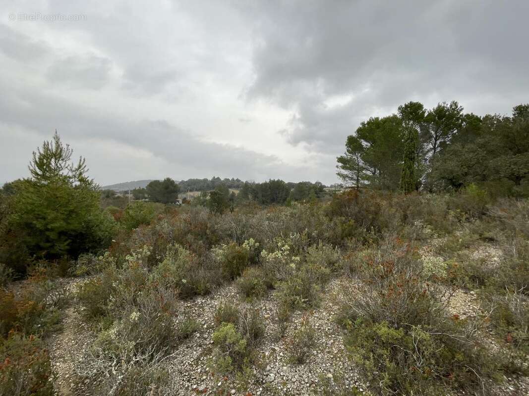 Terrain à SAINT-PARGOIRE