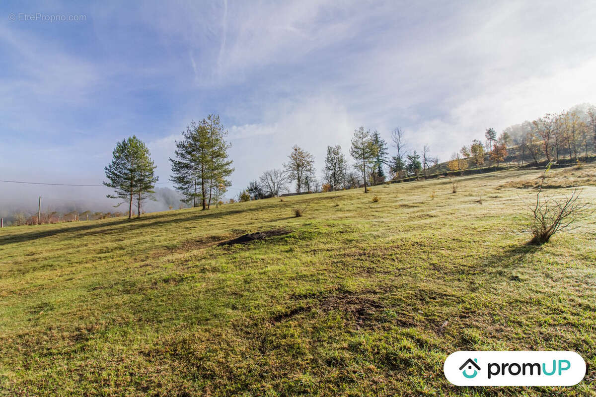 Terrain à SAINTE-FOY-DE-BELVES