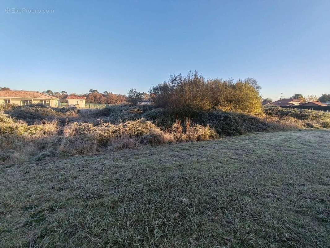 Terrain à SAINT-VINCENT-DE-PAUL